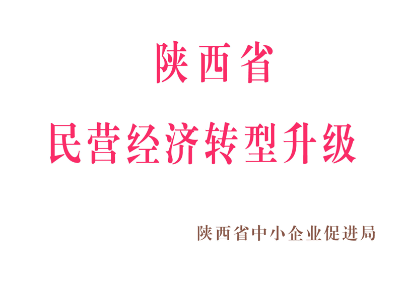 陜西省民營經(jīng)濟轉型升級
